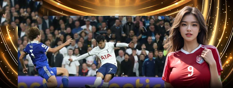 Guias de instalação da 55vv